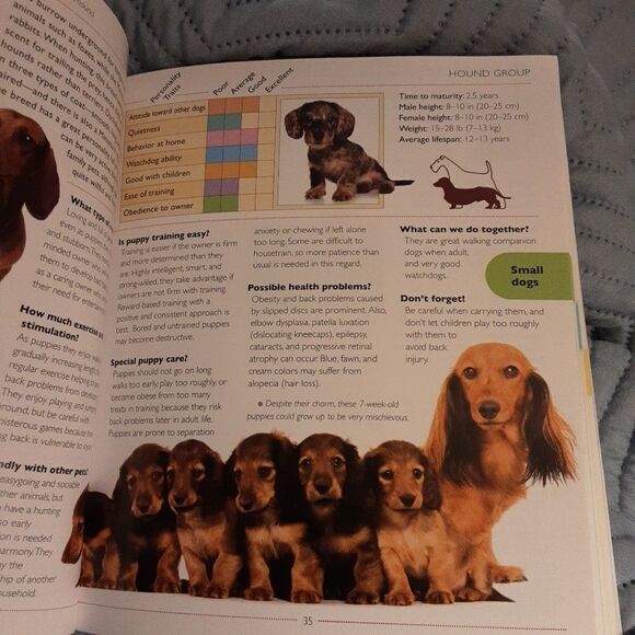 Puppy Adoption Resource‎ Book Sara John Barron's Educ Series (2013) - Picture 5 of 5